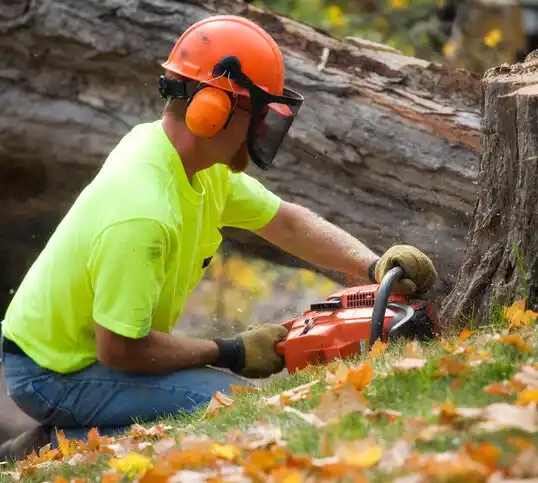 tree services Thomasville